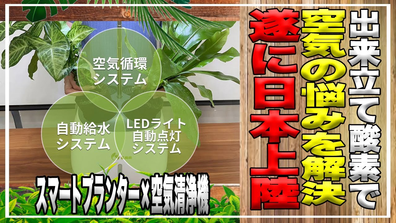 Air Purifier] Finally arriving in Japan! Smart planter x air