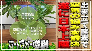 【空気清浄機】遂に日本上陸！スマートプランター×空気清浄機　出来立て酸素で部屋をリフレッシュ空気の悩みを一気に解決！空気清浄機の紹介‼︎＃クラウドファンディング＃空気清浄機＃プランター