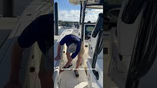 World Cat 295CC Walkthrough | Offshore Performance at Butler Marine