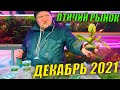 Птичий рынок! Декабрь 2021