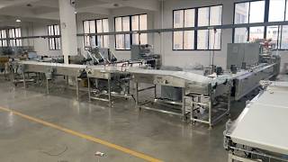 Chocolate Bar Flow Wrapper — FAT Test | Automatic Infeed, Servo Film Control