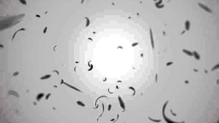Falling black feather.