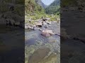 Beautiful lake Dugadda river Uttrakhand