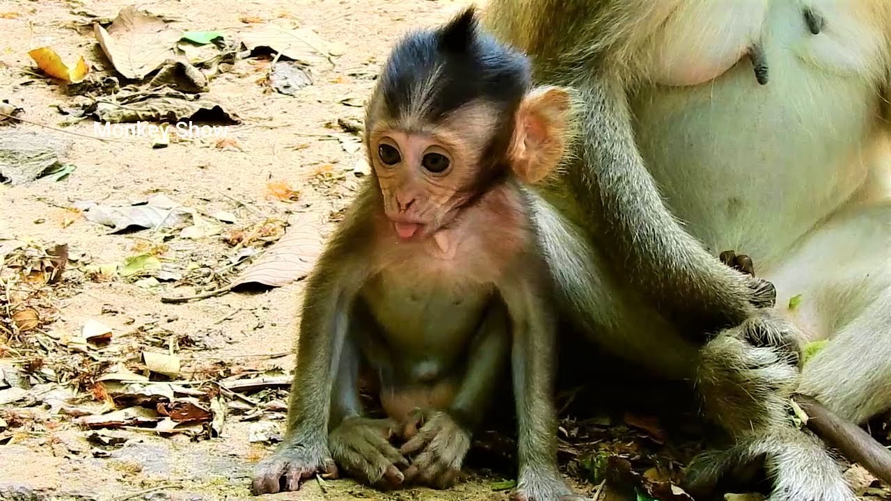 JoJo baby is adorable & hilarious nowadays. YouTube