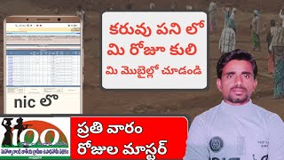 Upadi Hami Pathakam Balance in Telugu | Upadi Hami Payment Details | Karuvu Pani Money Check TS & AP