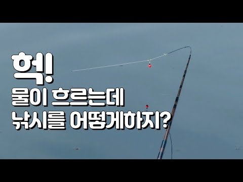 물이 흐르는 강 여울에서 붕어낚시를 하는 <strong>방법</strong>, 대끝보기, 물가에선나무 붕어 <strong>낚시</strong> 동영상 조행기