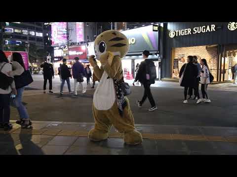 JHKTV] 신촌명물고양이 즐기면서  shinchon special <strong>cat</strong> Work while <strong>having</strong> fun