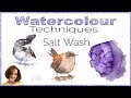 How to use Salt with Watercolour // Watercolour Beginner Technique // Louise De Masi