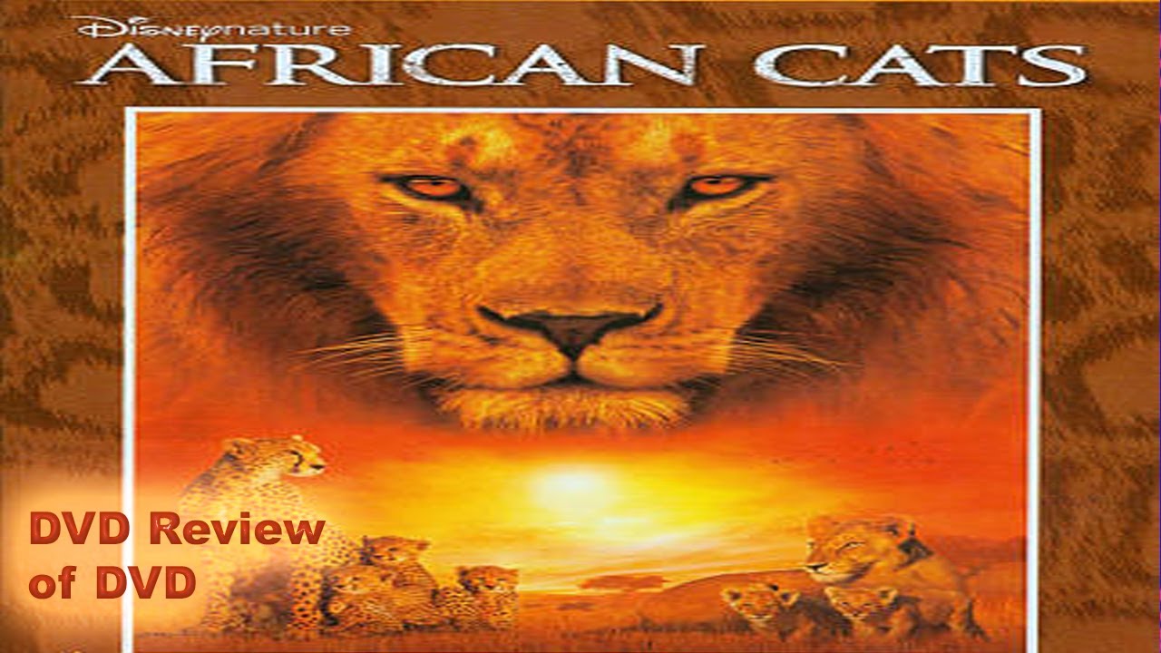DVD Review of Disneynature African Cats YouTube
