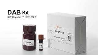 DAB Chromogenic Kit for Immunohistochemistry in Situ Hybridization Western Color Reagent G1212-200T