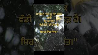 #PunjabiMotivation #Punjab #PunjabiReels#PunjabiYouTube #PowerMind #motivation #punjabmade #success
