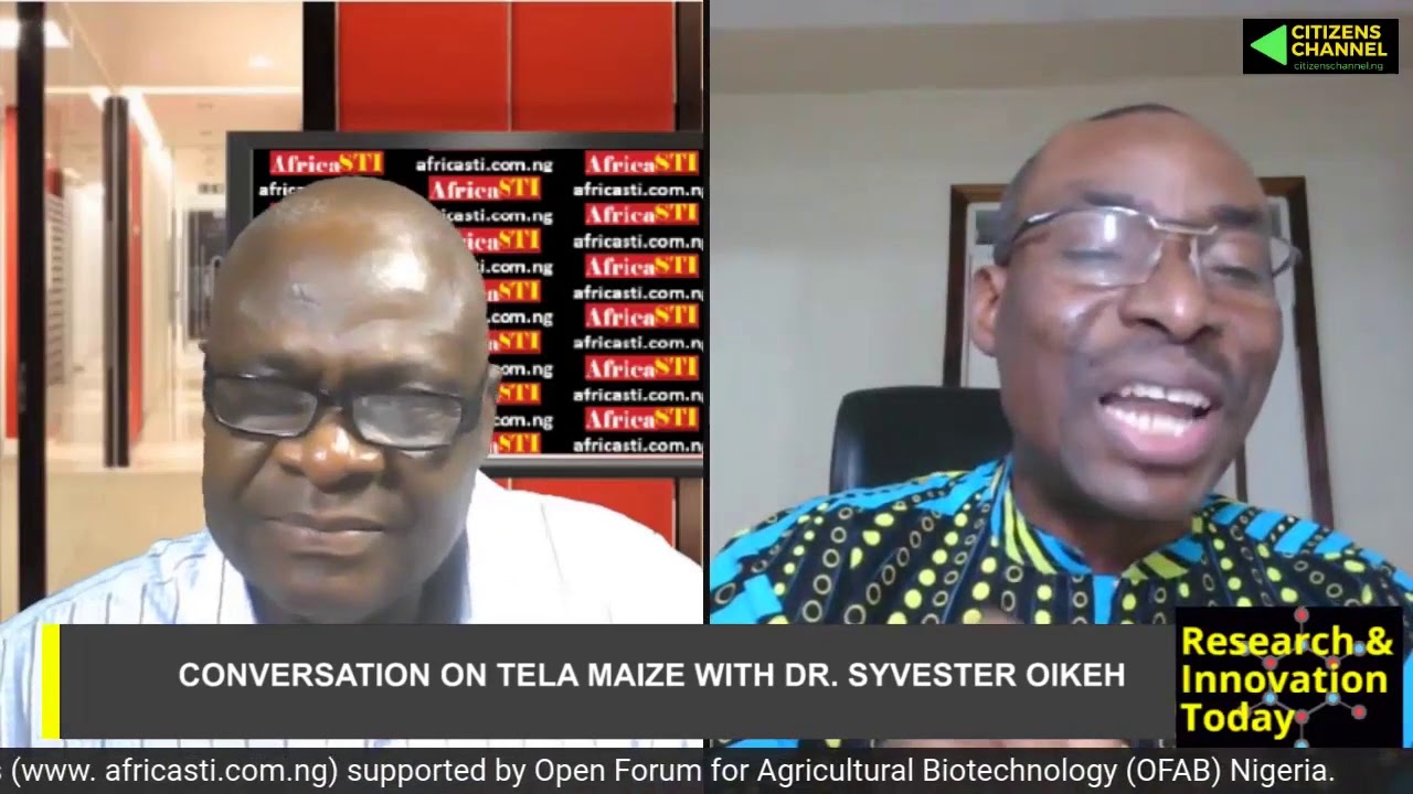 Status of Transgenic Drought- Tolerant & Insect-Protected (TELA) Maize in Nigeria & Food Security