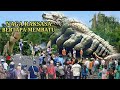 VIRAL !!! WARGA TEMUKAN ULAR NAGA RAKSASA BERTAPA MEMBATU DI HUTAN ANGKER ?! @Petung_Sewu