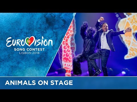 Animals on the Eurovision stage!