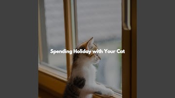 Romantic Moods for Open Work Floors