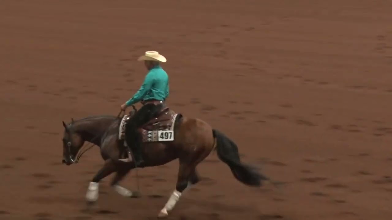 250516 NP Derby Ronnie Fox on Blaze Face Gunner