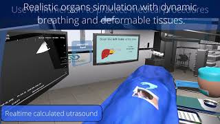 SurgiViz4D – Scenario 2: Ultrasound Liver Probing in Virtual Reality