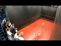 Noel Bruce 2023 Semi-final 1
