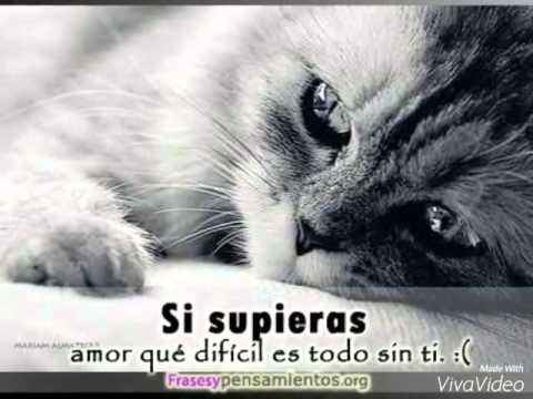 Carta de amor C—Kan  YouTube
