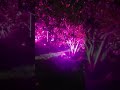 AHSELLUS RGB Landscape Lights Color Changing LED Landscape Spotlights Review, Great accent lighting