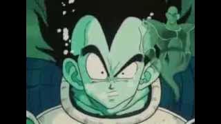 Vegeta's Rage affects the Multiverse