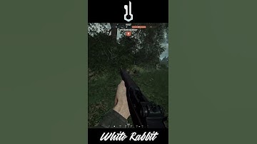 His Ping is over 9000?!?! | Hell let loose Funny Moment - Highlights