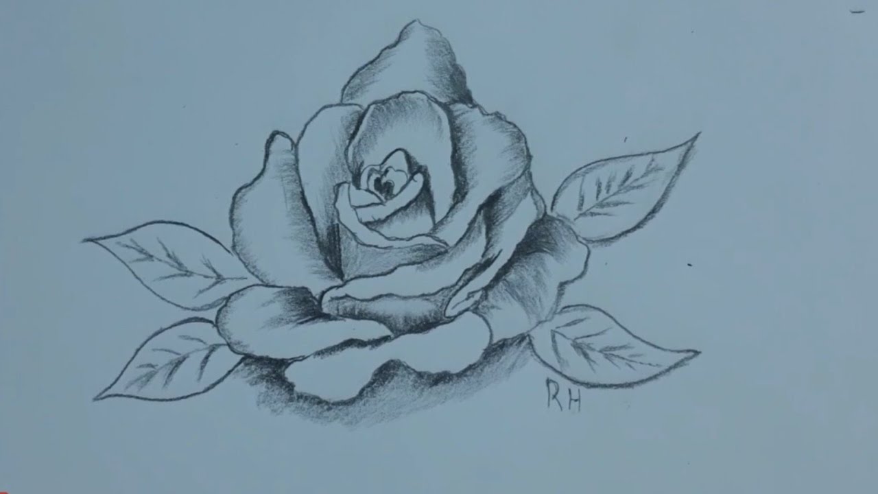 كيف ترسم وردة كأنها حقيقية ببراعة.Draw a rose as if it were real YouTube
