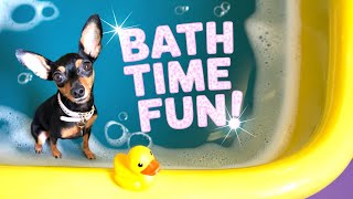 🔴 Morning routine and dog washing! [#441]
