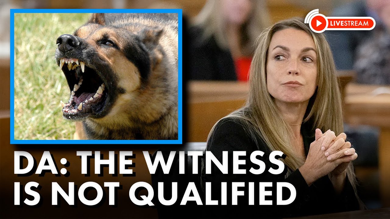 prosecutors-in-karen-read-case-want-dog-bite-expert-s-testimony