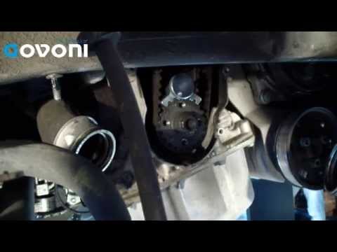 310191000 - Timing tool set for VW Group 1.2 - 1.6 - 2.0 ... vw 2 0t fsi engine diagram 