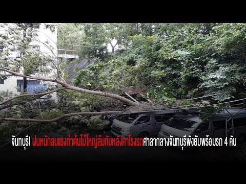 ฝนหนักลมแรงทำต้นไม้ใหญ่ล้มทับหลังคาโรงรถศาลากลางจันทบุรีพังยับพร้อมรถ 4 คันแถมอุบัติเหตุดับ 1