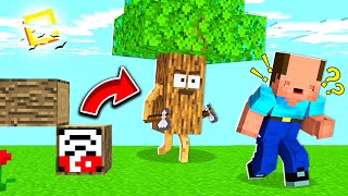 BalonCraft - AĞAÇ OLARAK TROLLEDİM !! - Minecraft