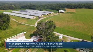 Tyson plant closure hurting more than just farmers