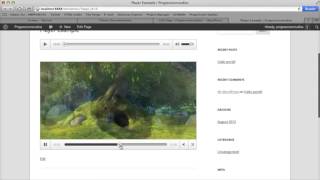 ProgressionPlayer Add Video and Audio