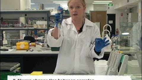 Using a single-channel pipette