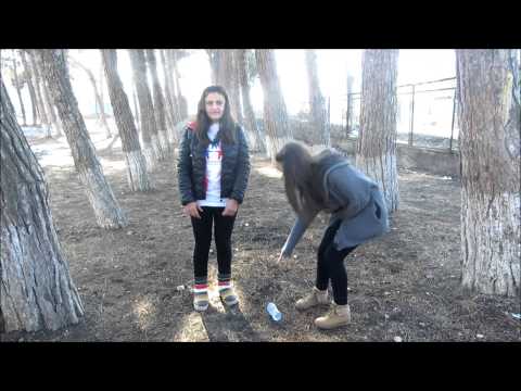 გარემოსდაცვითი ვიდეორგოლები