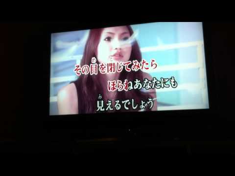ドミノ倒シ　歌ってみた　morter