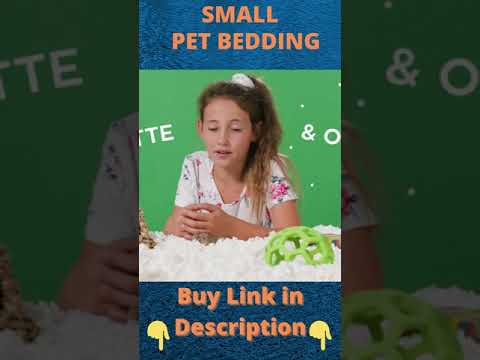 🔴 SMALL PET BEDDING | CARE FRESH | #shorts #youtubeshorts #trending