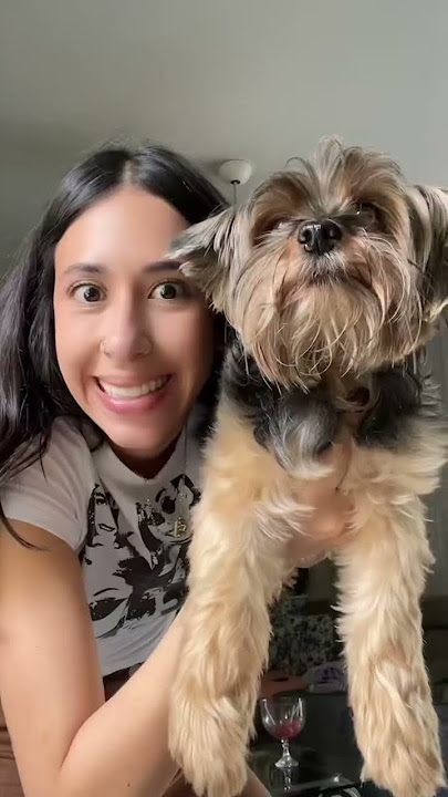 TIPO HOLLYWOOD 🤩 #yasminbrossi