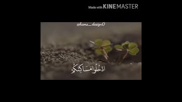 سورة النمل آية 18 و 19