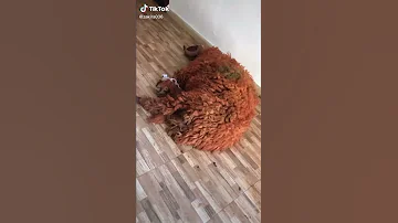 اغنية كبش العيد 