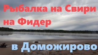 Рыбалка на Свири на фидер в Доможирово