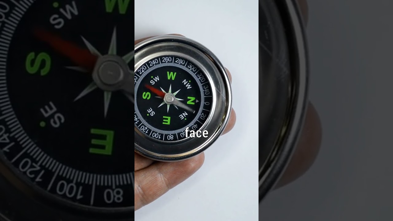 Embracing the Tapestry of Life: Finding Beauty in Every Moment# Life # Quote