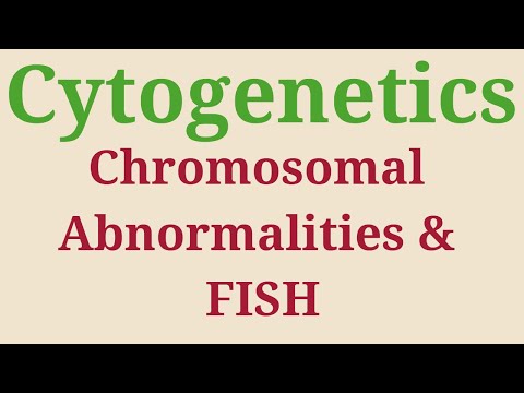 Chromosomal Abnormalities & FISH Explained | Cytogenetics YouTube thumbnail