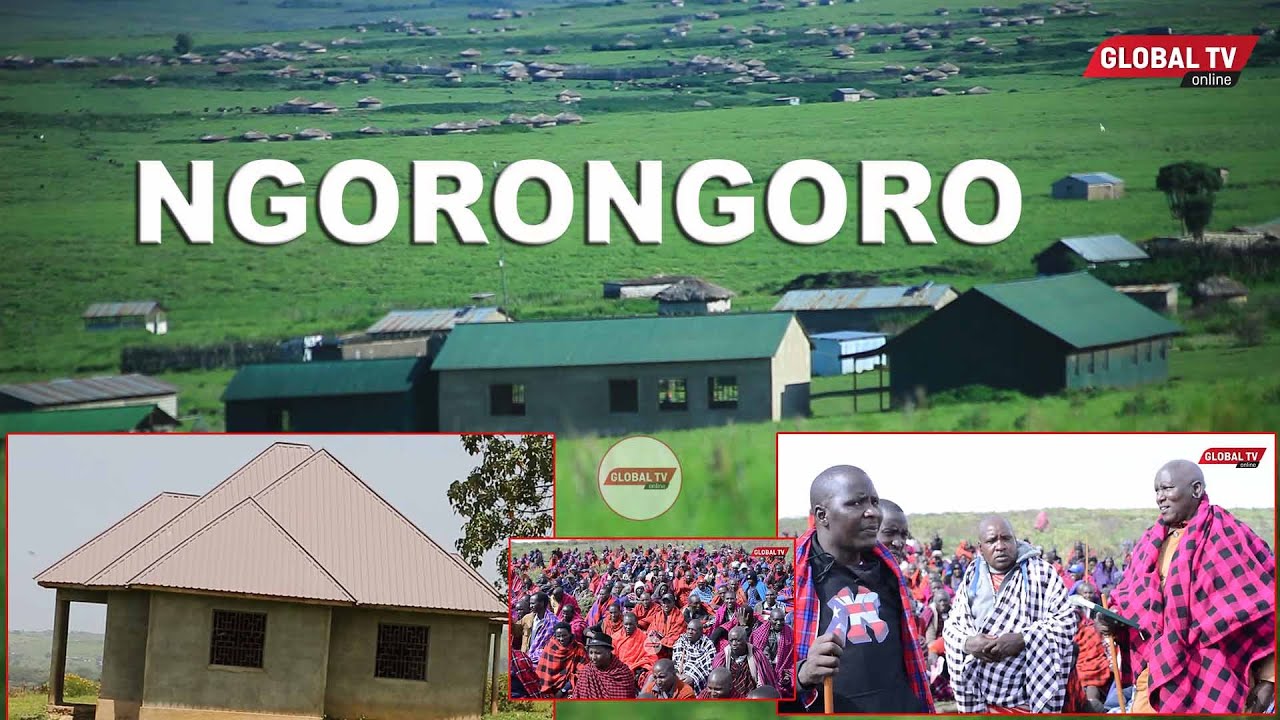 UKWELI KUHUSU HIFADHI YA NGORONGORO,HALI NI MBAYA, ONGEZEKO LA WATU, MIFUGO LATISHIA UHAI WA HIFADHI