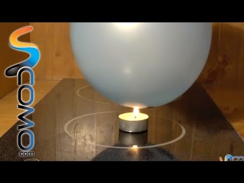 Globo que no
