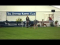 Ally SKC May 2011.MP4 Ally SKC May 2011.MP4