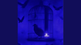 Bird in a Cage (The Carbonfools Remix) - Modesty's