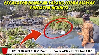 Download Lagu Sarang Cobra Isinya Sampah!! Excavator Bongkar Sarang Predator Semak Belukar #dedimulyadi MP3 Download Lagu Sarang Cobra Isinya Sampah!! Excavator Bongkar Sarang Predator Semak Belukar #dedimulyadi MP3
