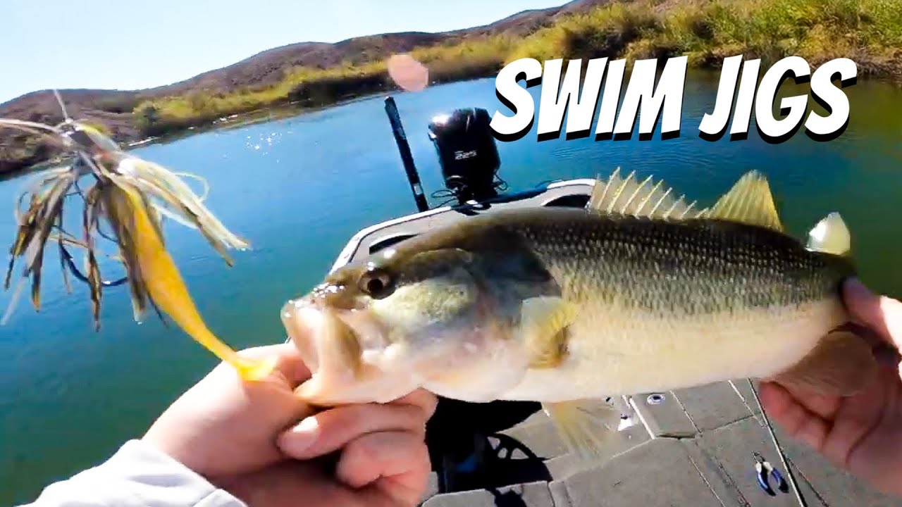 What other ways do you guys throw swim jigs? Other than a straight  retrieval : r/bassfishing
